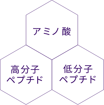 アミノ酸 高分子ペプチド 低分子ペプチド